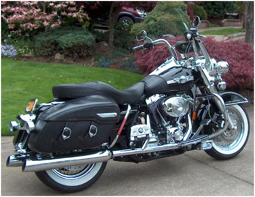 road king with 12 inch ape hangers