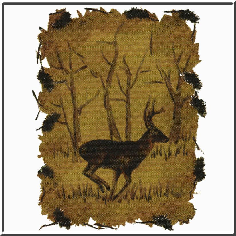 Whitetail Deer Buck Native Sketch T Shirt S 2X,3X,4X,5X  